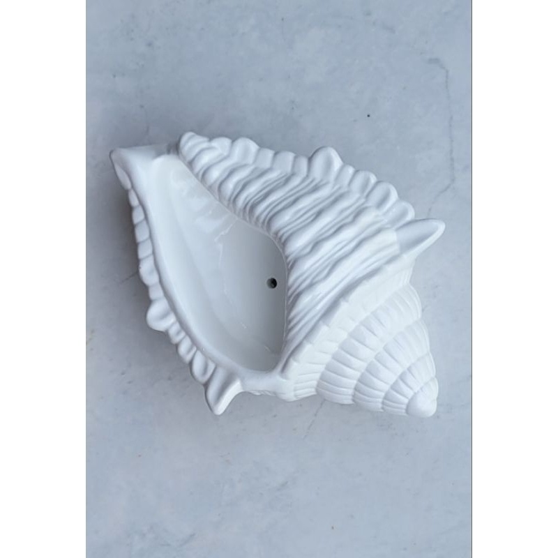 Concha do Mar Decorativo: Beleza e Versatilidade em Um Só Produto