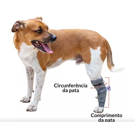 Protetoras de Patas para Cachorro: Proteção Ideal para Pequenos Portes