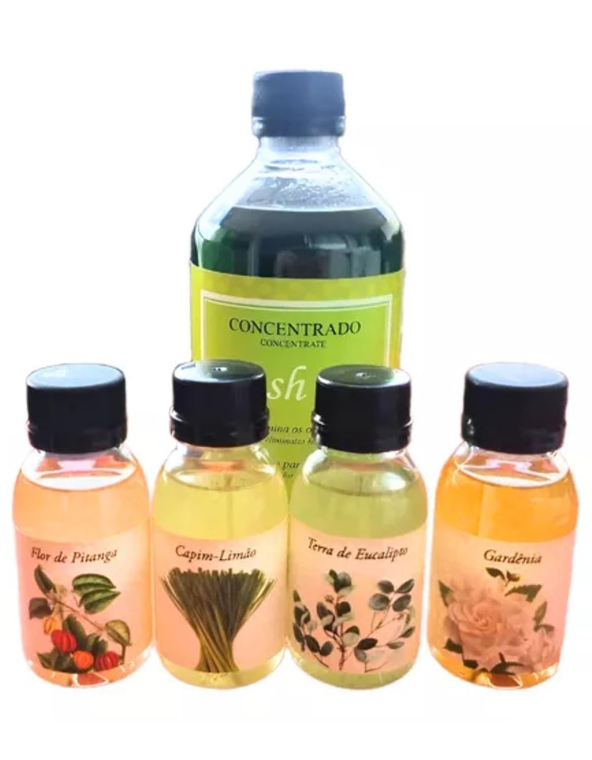 Kit Aspirador Rainbow Nacional: Purificador de Ar + Bactericida Fresh Air e Fragrâncias Premium