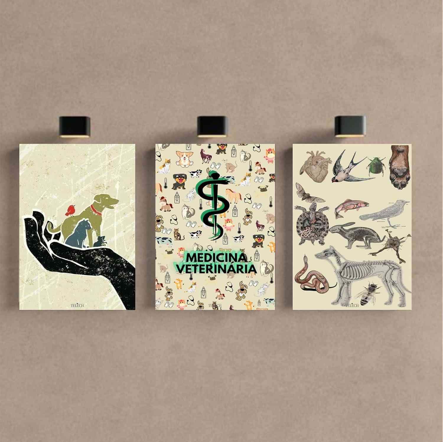 Kit 3 Quadros Decorativos para Consultório de Medicina Veterinária - Design Profissional