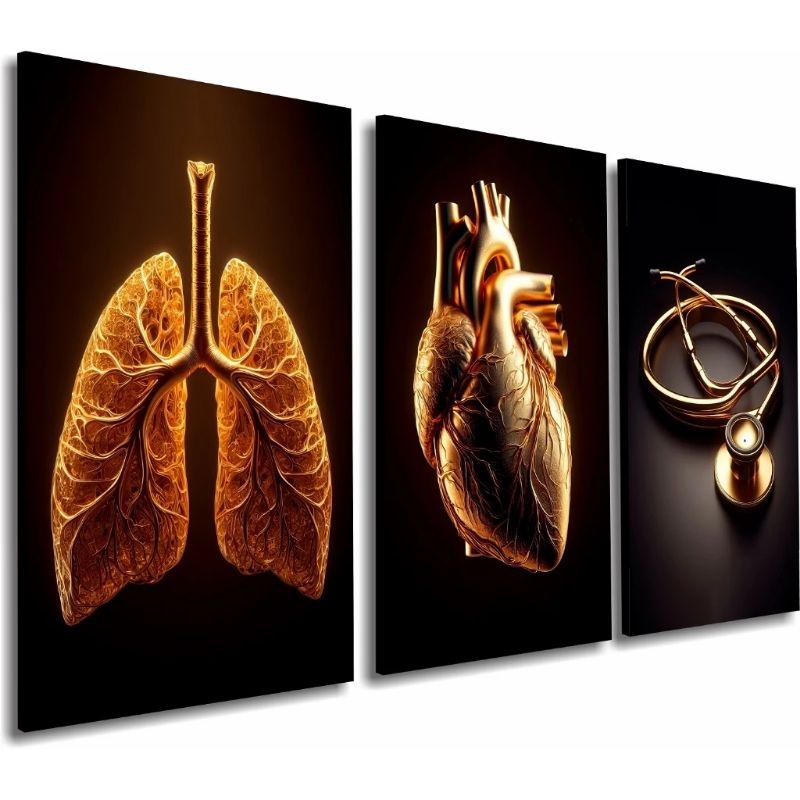 Quadros Medicina Dourado: Toque de Luxo ⚜️