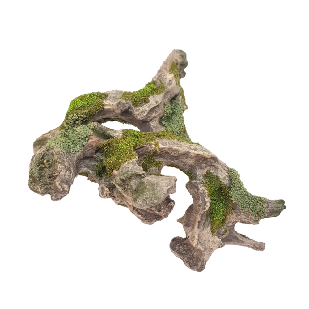 Raiz com Musgo: Toque Natural no Seu Aquário!