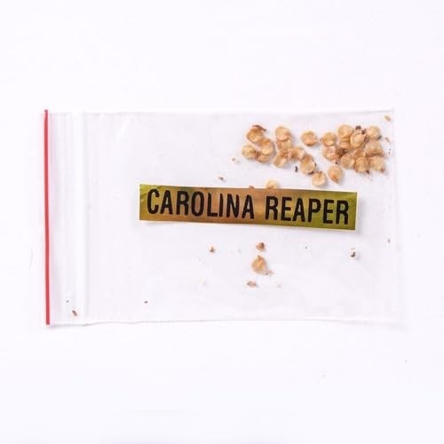 Carolina Reaper Vermelha Sementes 25 Unidades