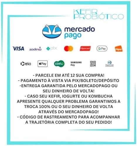 Iogurte Infinito Com Manual Cortesia Livro de Receitas Tudo Iogurte Infinito!