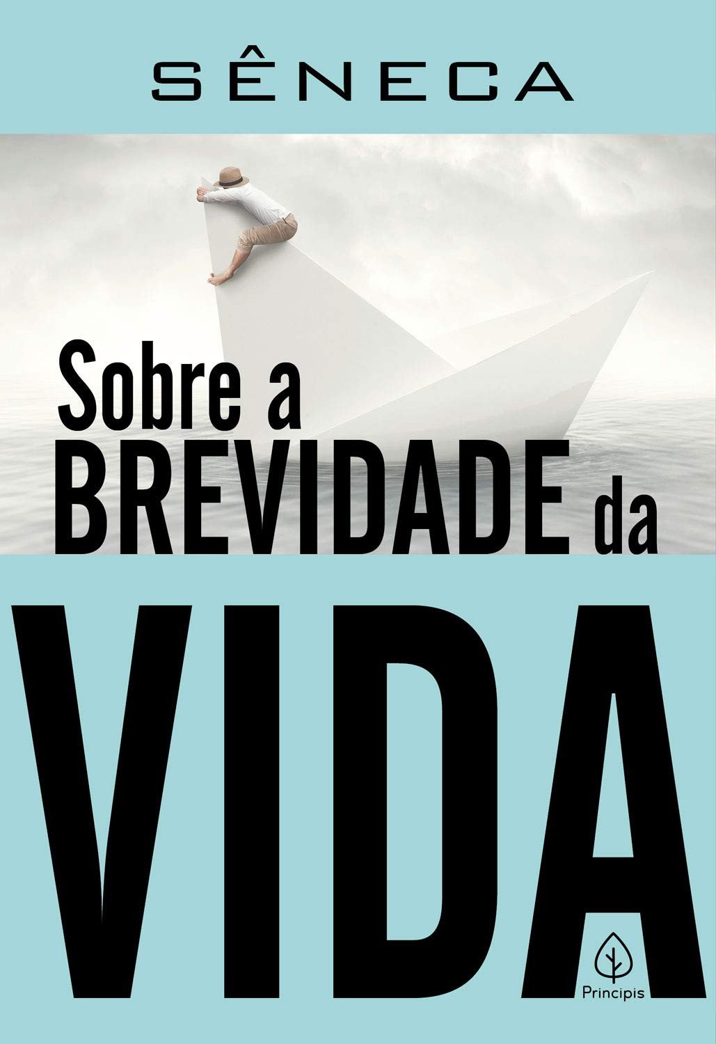 reflexoes-de-a-da-brevidade-a-sobre-atemporais-vida-seneca-a