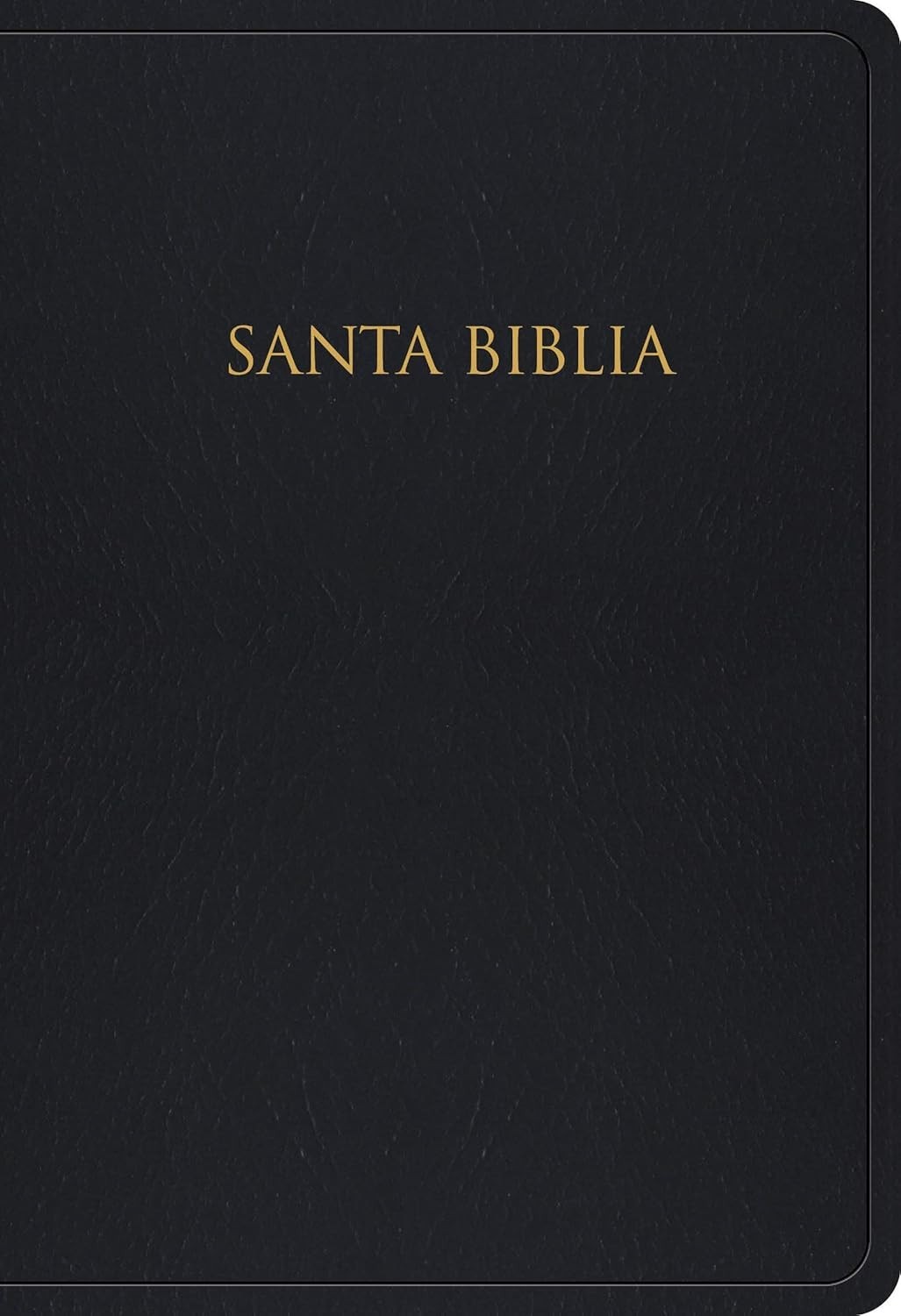 reina-biblia-couro-em-e-valera-presente-a-santa-sintetico-edicao-1960-preto-premio-a