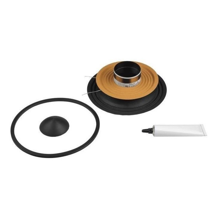 Reparo Alto Falante Triton 6 XRL 400: Restaure o Som!