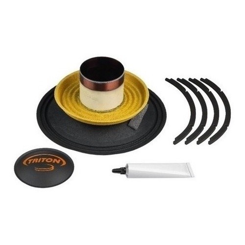 Reparo Alto Falante Triton TR 450: Restaure o Som!