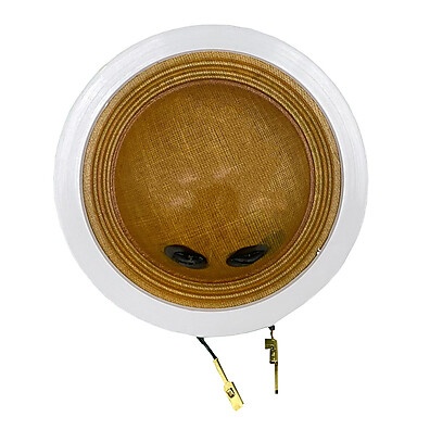Reparo Driver D250 8 Ohms: Reviva Seu Som JBL/Selenium