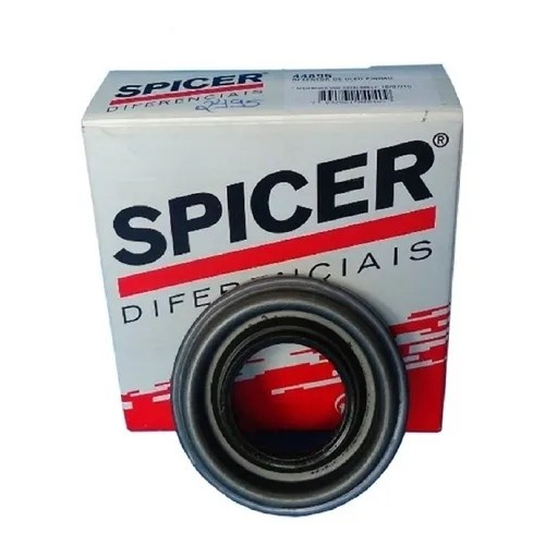 Retentor Pinhão Diferencial F250: Original Spicer