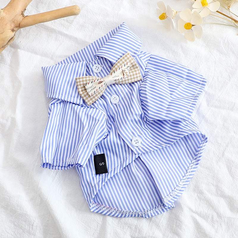 roupa-pet-verao-conforto-e-estilo-para-caes-e-gatos