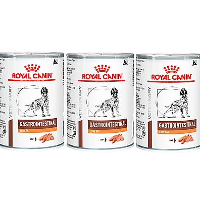 Royal Canin Gastrointestinal Low Fat: Solução Nutricional para Cães com Problemas Digestivos
