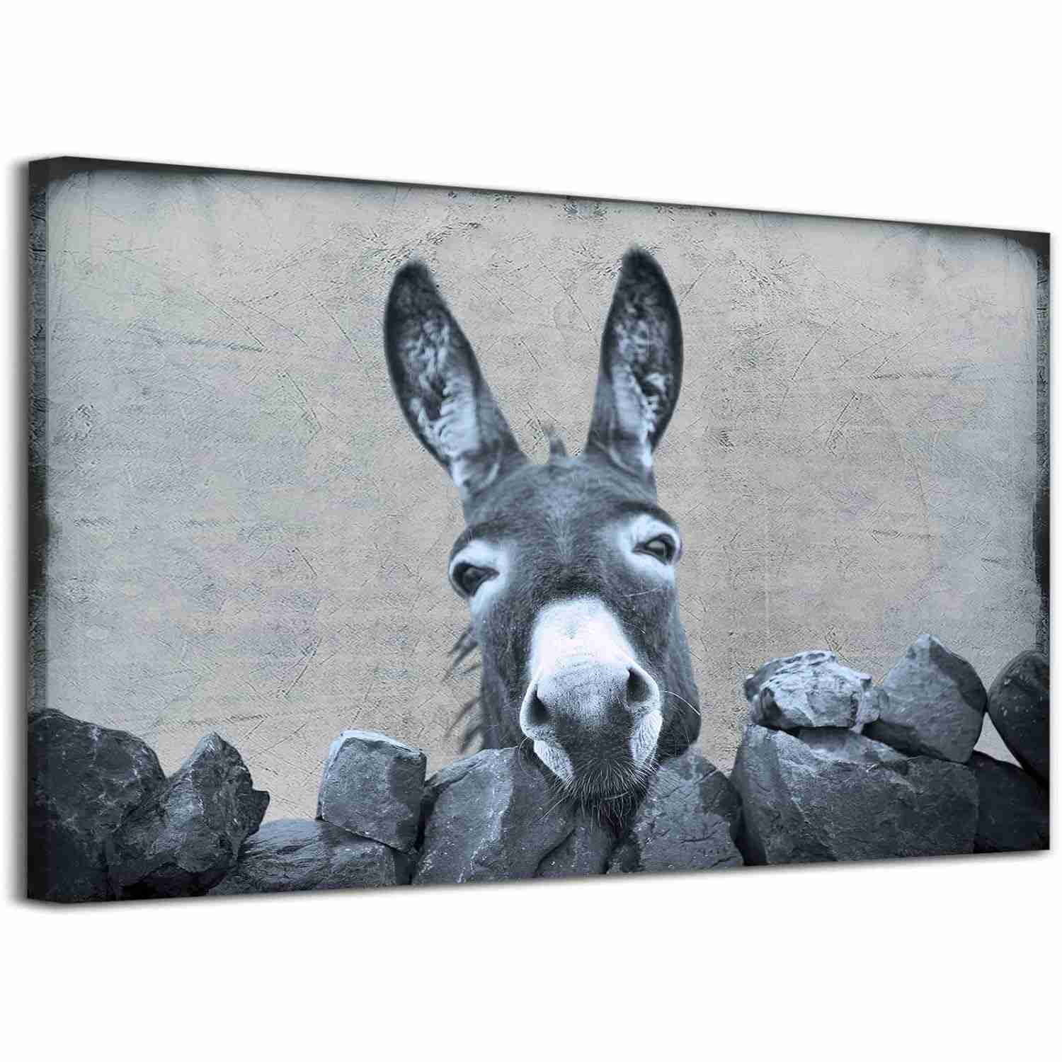 Pôster de Burro em Preto e Branco - Arte Rústica para Decoração de Parede