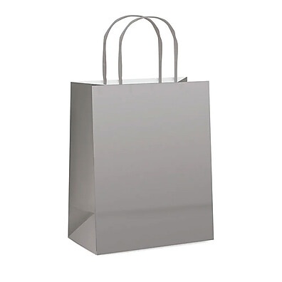 Sacola de Papel Prata Fosco 32x26,5x13 – 10 Unidades Cromus