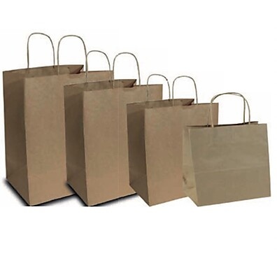 Sacolas Kraft: 10 Unidades Reforçadas!