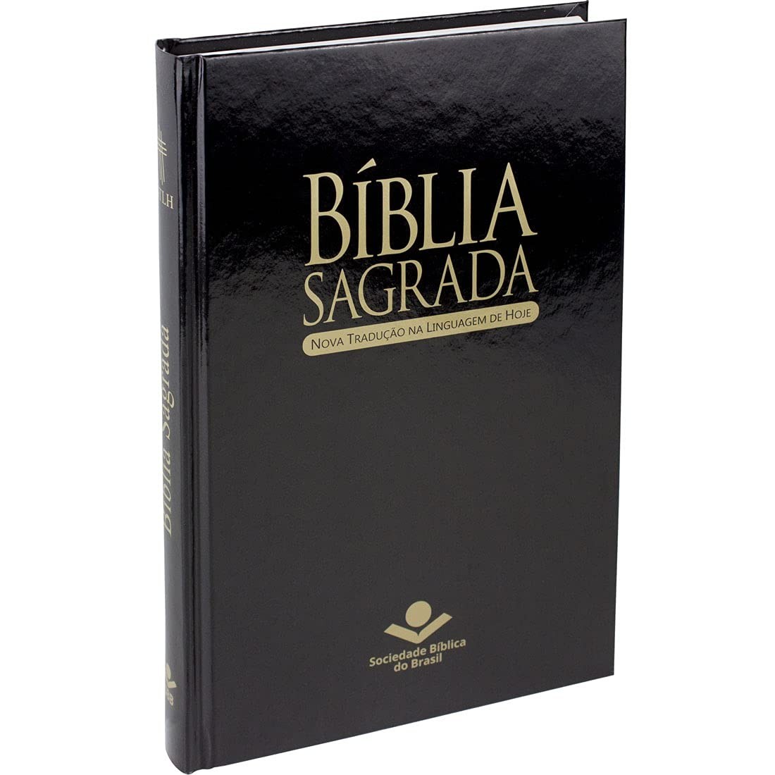 sagrada-linguagem-acessivel-biblia-e-clara-ntlh-de-a-traducao-nova-hoje-leitura-a