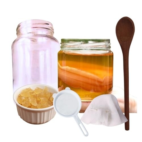 Scooby de Kombucha Ganhe Kefir De Água Colher De Pau + Tampa Voal + Frasco 500ml + Peneira