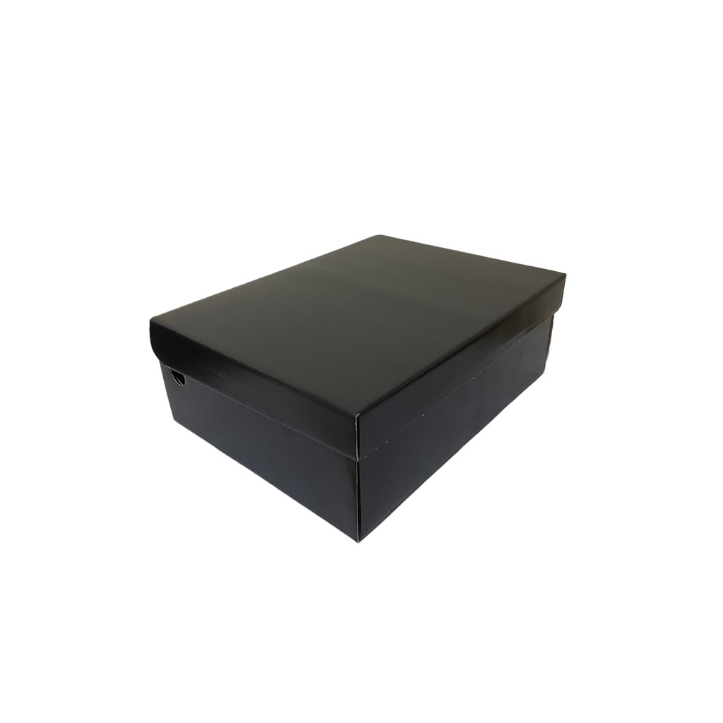 10 Caixas Papelão Coturno/Bota Cano Curto 34x26x12cm Com Seda
