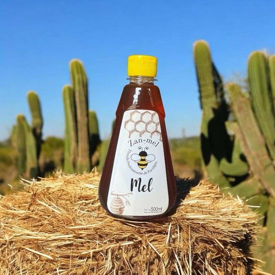 Zan-mel Mel de Eucalipto, Bisnaga Natural, 500ml, Sem Glúten