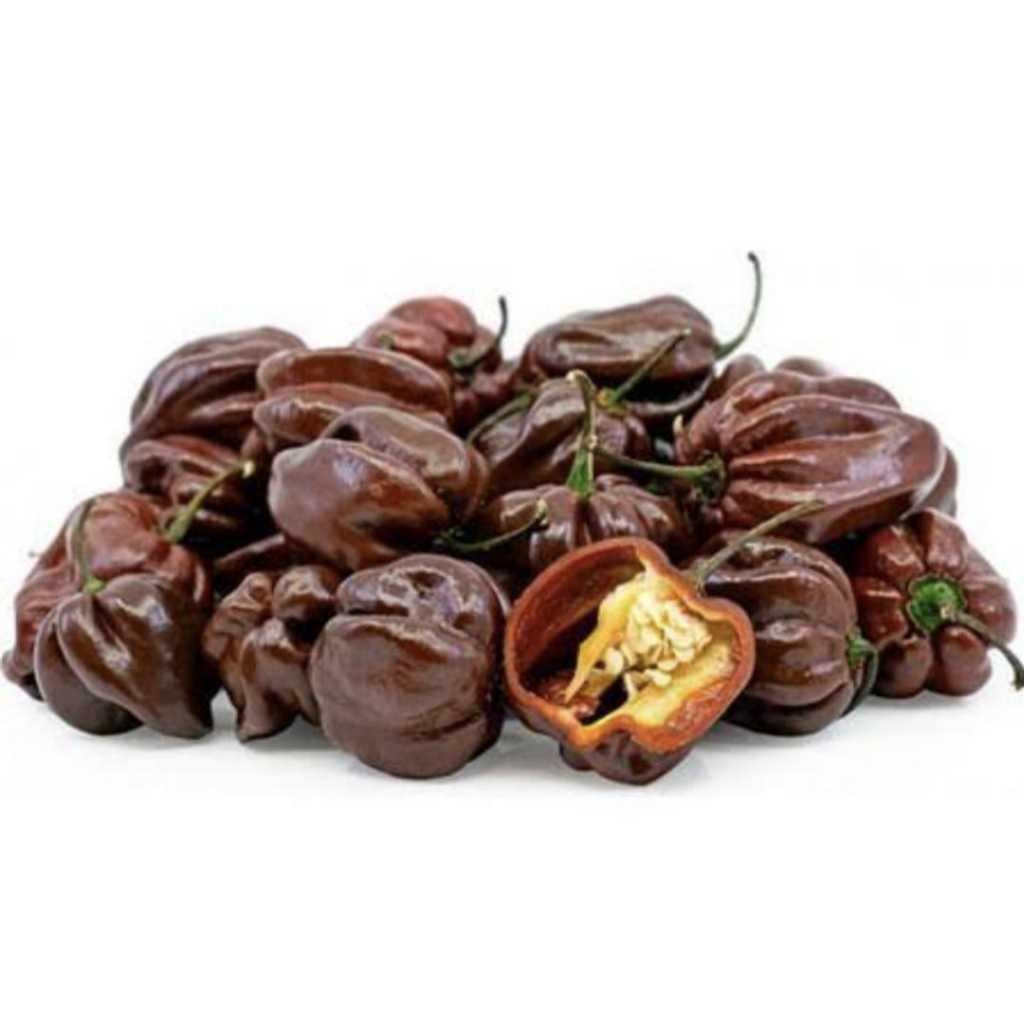 Semente Pimenta Chocolate: Cultive o sabor mais ardido!