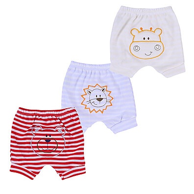 Short Bebê Bordado: Conforto e Estilo!