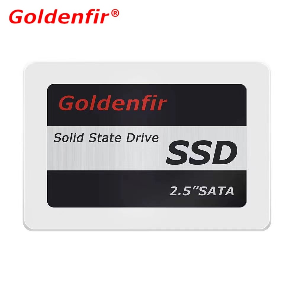SSD Goldenfir: Turbine Seu PC!