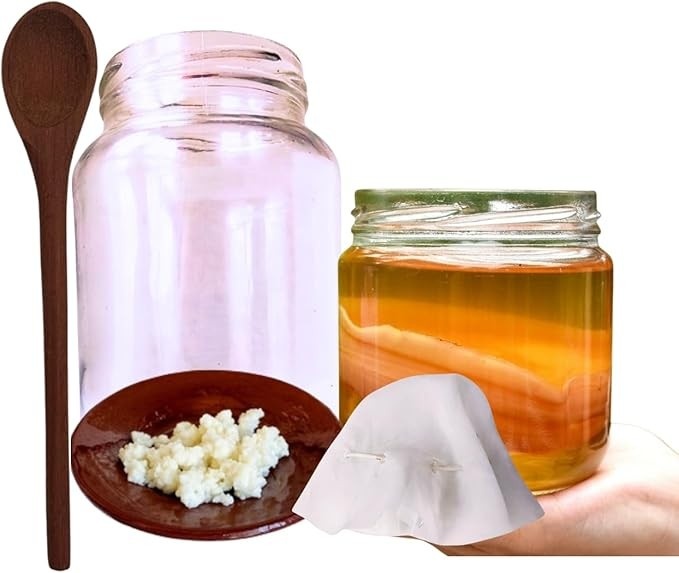 Scoby Kombucha + Colher de Pau + Kefir de Coco Tampa Voal Vidro 500ml!