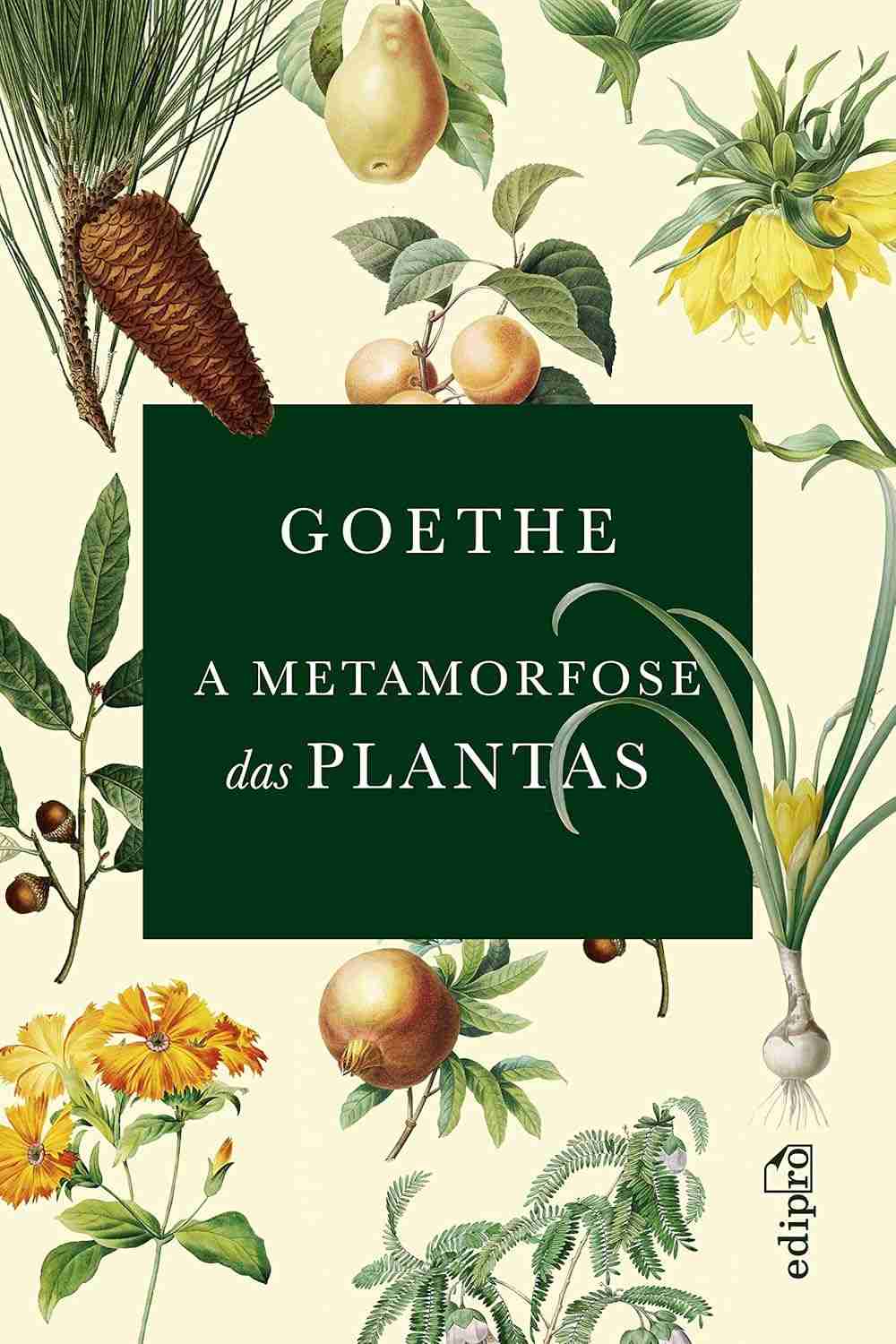 teoria-de-plantas-metamorfose-das-a-revolucionaria-a-goethe-a