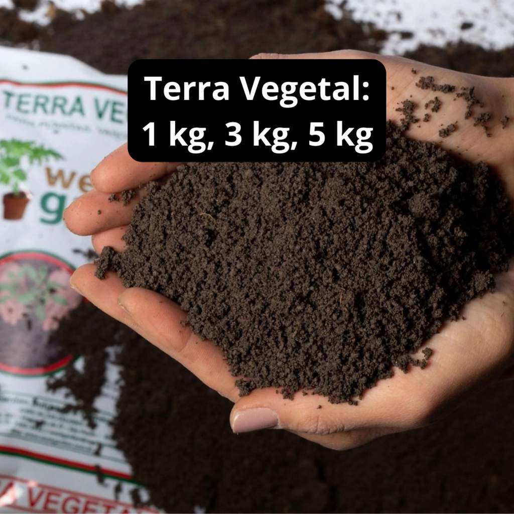 Terra Vegetal: Cultive Mais com 1, 3 e 5kg!