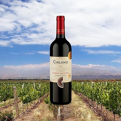 tinto-sabor-chilano-frutado-cabernet-sauvignon-750ml