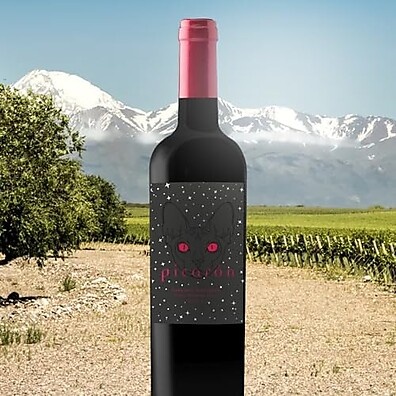 tinto-vinho-cabernet-750ml-sauvignon-premium-picaron