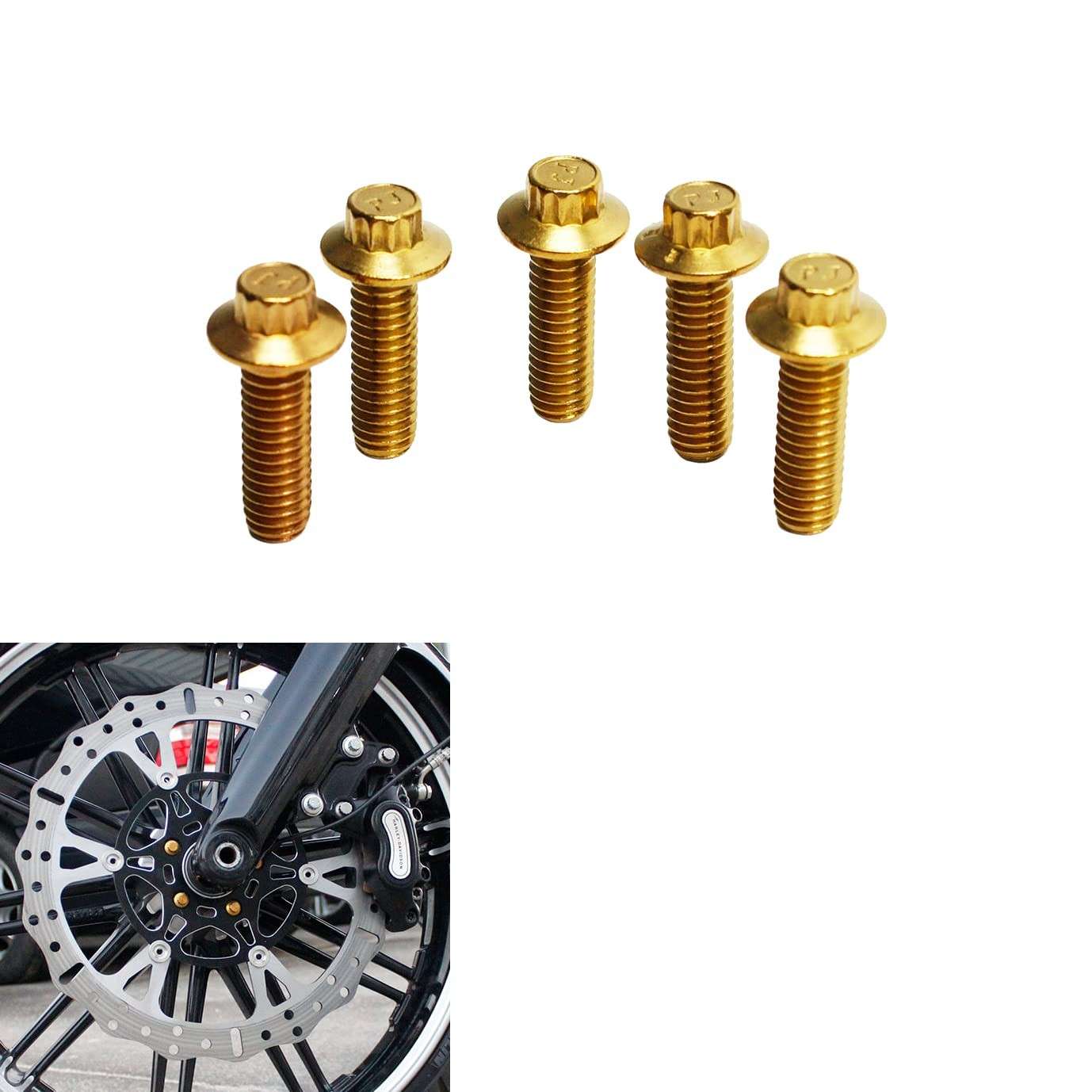 Parafusos Torx Dourados 12 Pontos Aço Inox - Rotor Freio Dianteiro Harley Davidson