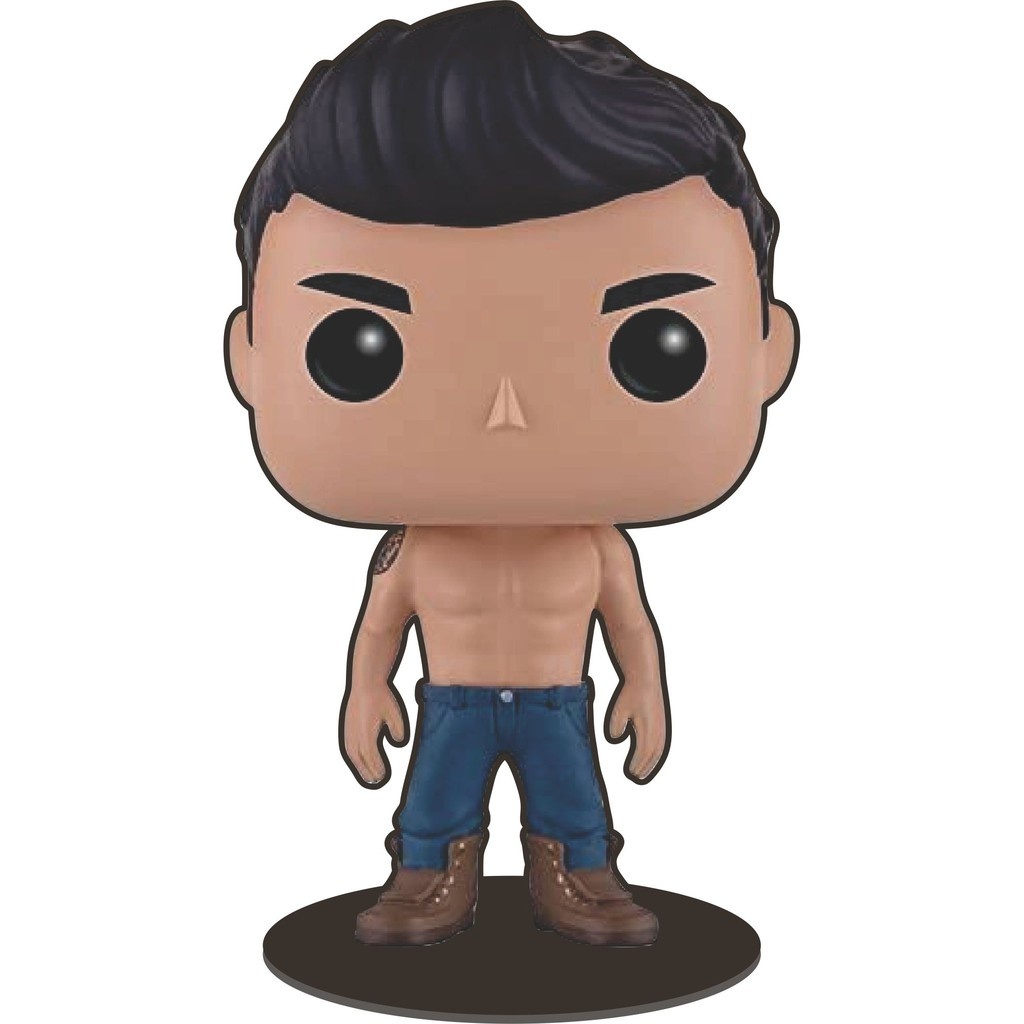 Totem Jacob Black Crepúsculo: Decore com o Ícone dos Cullen