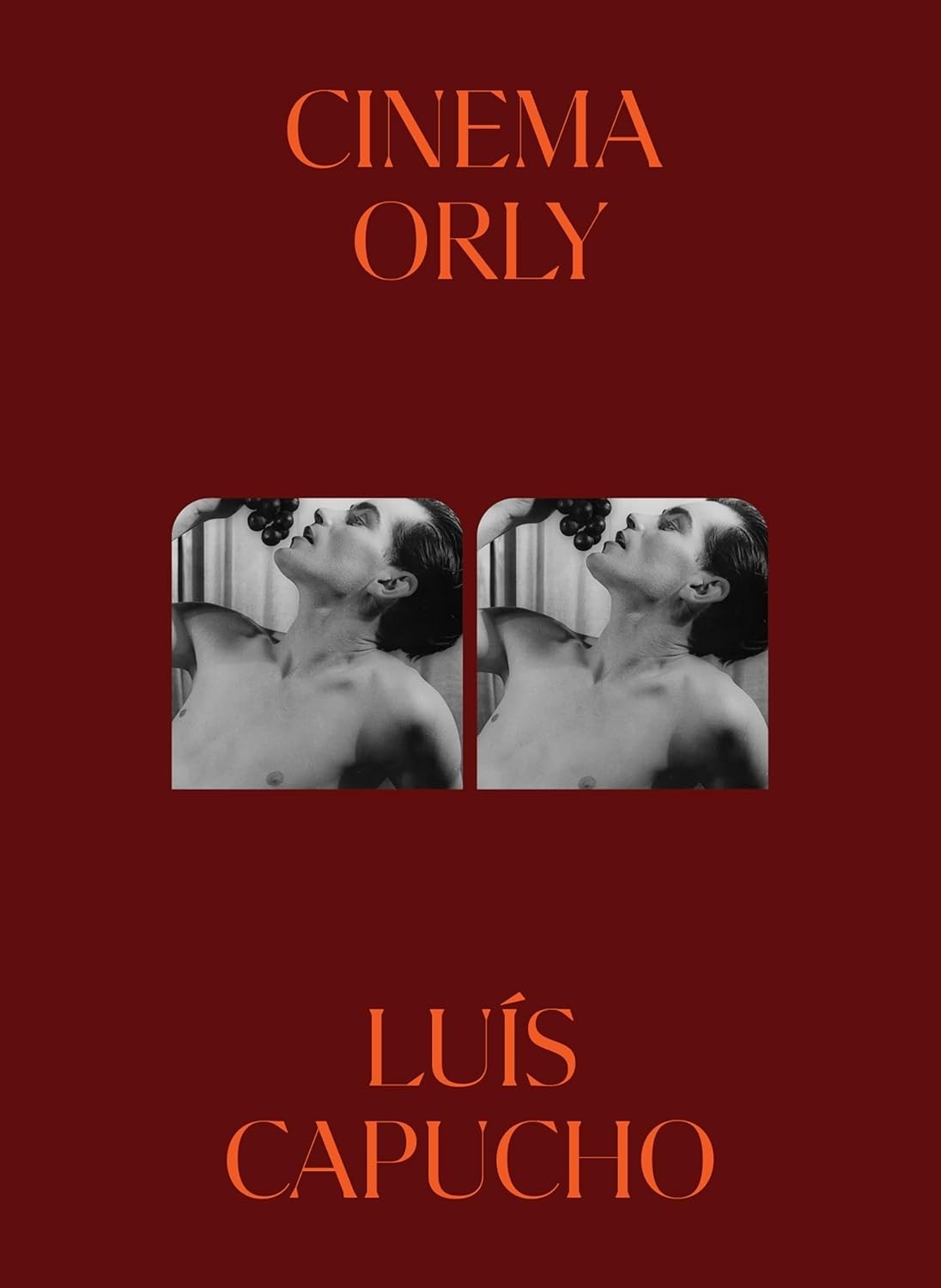 transgressora-autoficcao-a-orly-e-marginal-classico-da-literatura-cinema-a