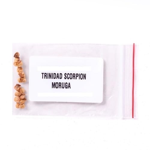 20 Sementes Trinidad Scorpion Moruga Vermelha