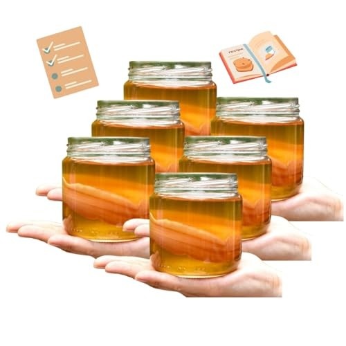 Scoby Kombucha Original Fermentação Natural 6 Unidades!