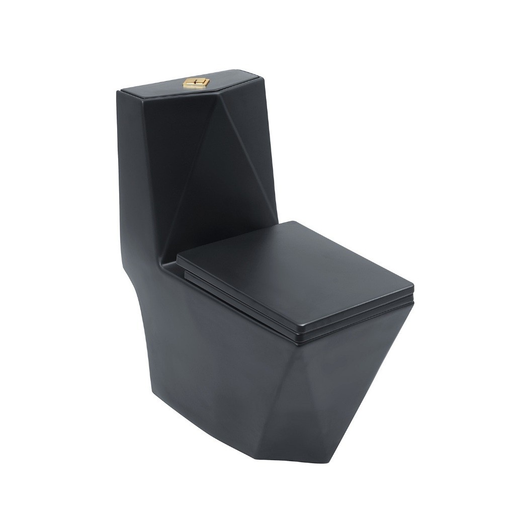 Vaso Sanitário Preto Opala Pingoo: Elegância e Economia