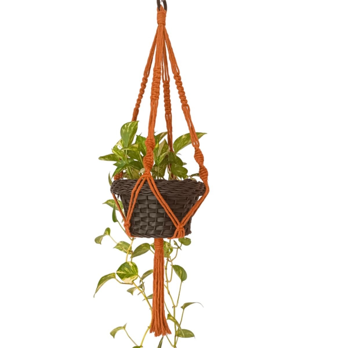 vasos-de-70-e-cm-para-decoracao-macrame-sustentavel-corda-plantas-a-de-suporte-elegante-a
