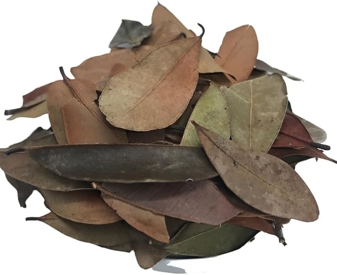 Insulina Vegetal 500Gr (Ervas e Talos)
