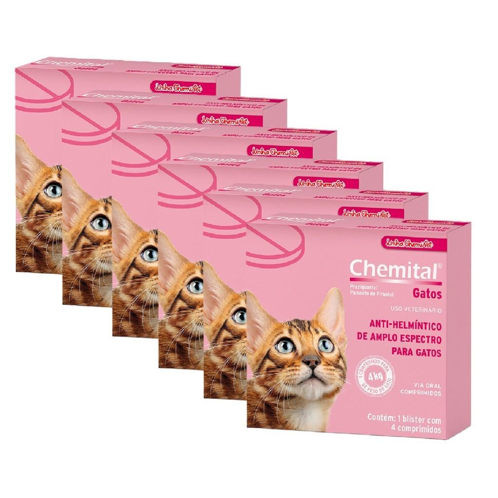 Vermífugo para Gatos: Proteja seu Felino!
