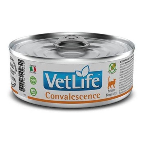 vetlife-convalescence-recuperacao-rapida-para-gatos