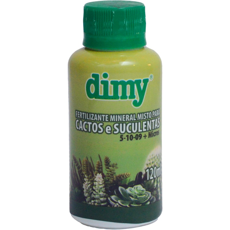 vibrantes-suculentas-cactos-para-segredo-o-dimy