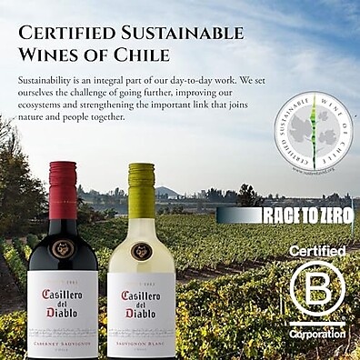 vinho-tinto-del-750ml-premium-diablo-casillero-malbec