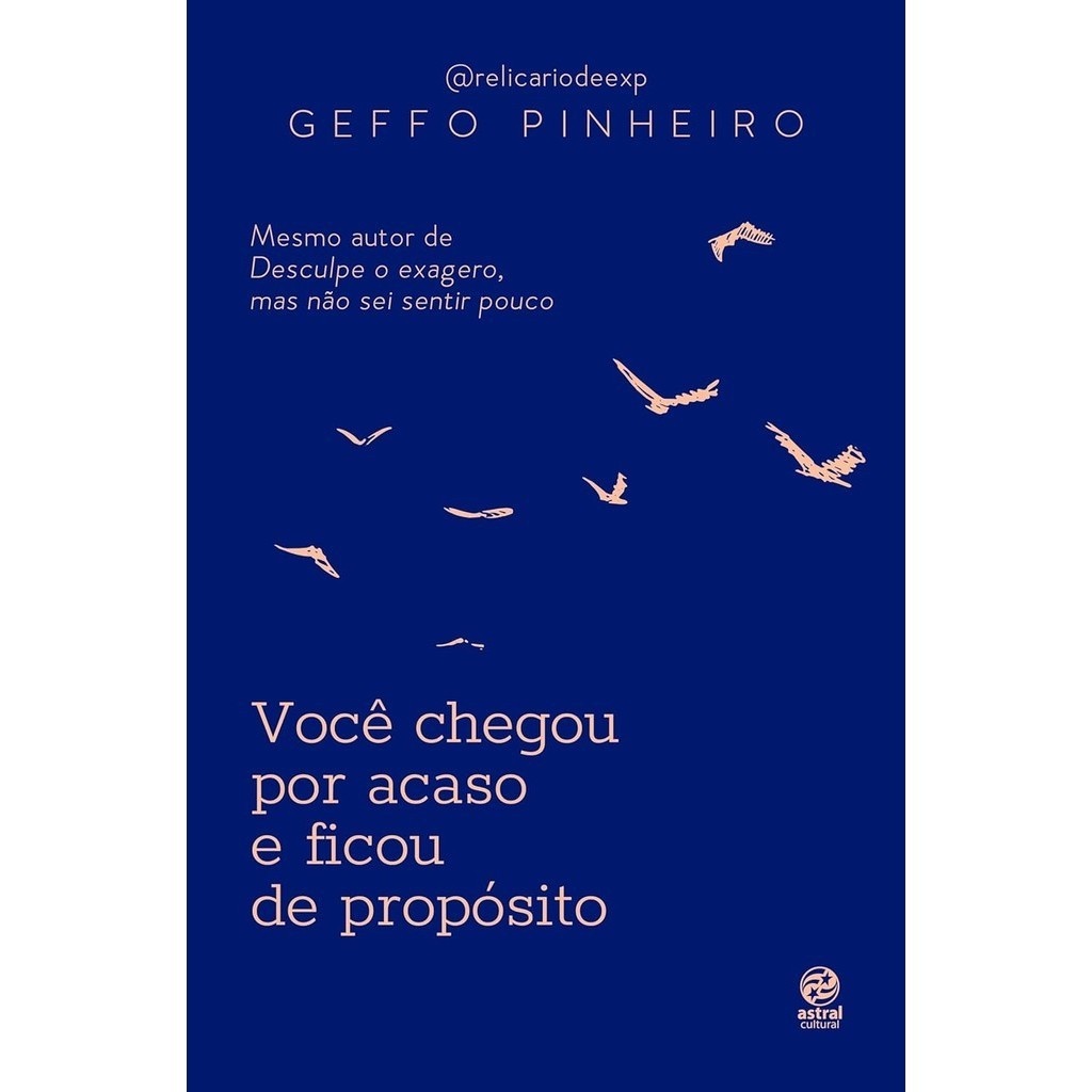 Você Chegou Por Acaso: Redescubra o Amor