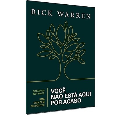 Você Não Está Aqui Por Acaso: Descubra Seu Propósito